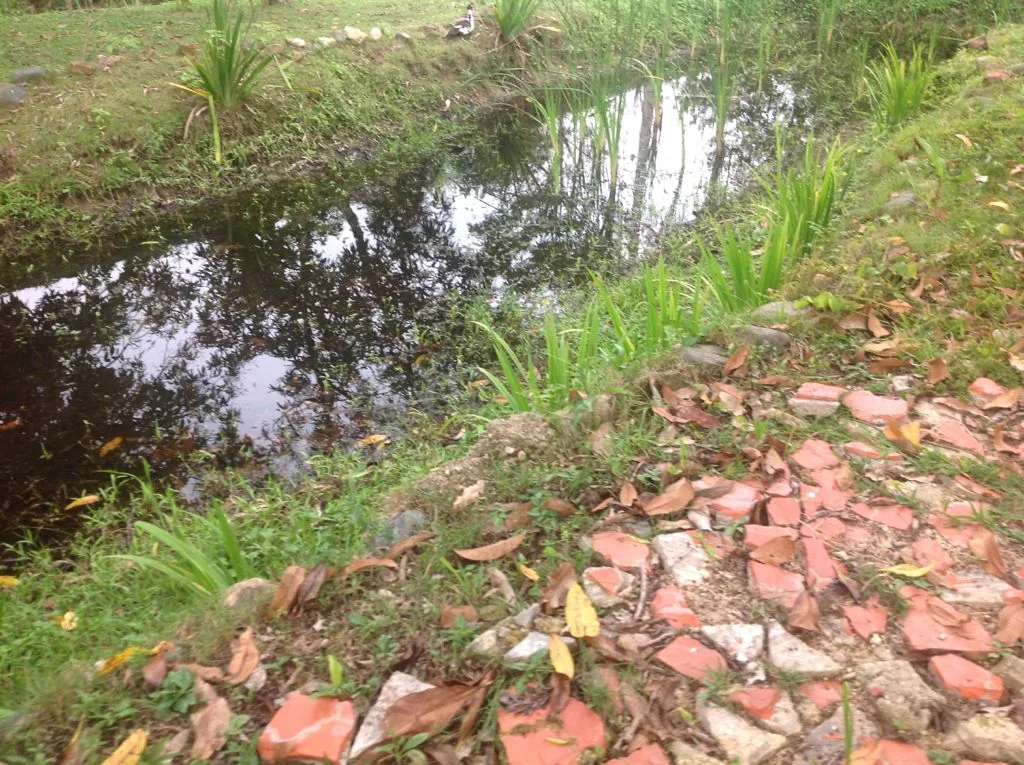 Casa campestre de 2 niveles con vista panorámica - foto 3
