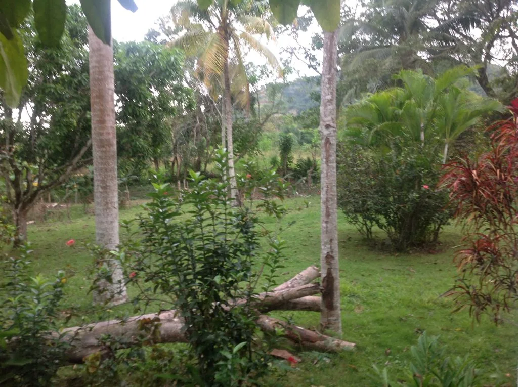 Casa campestre de 2 niveles con vista panorámica - foto 6