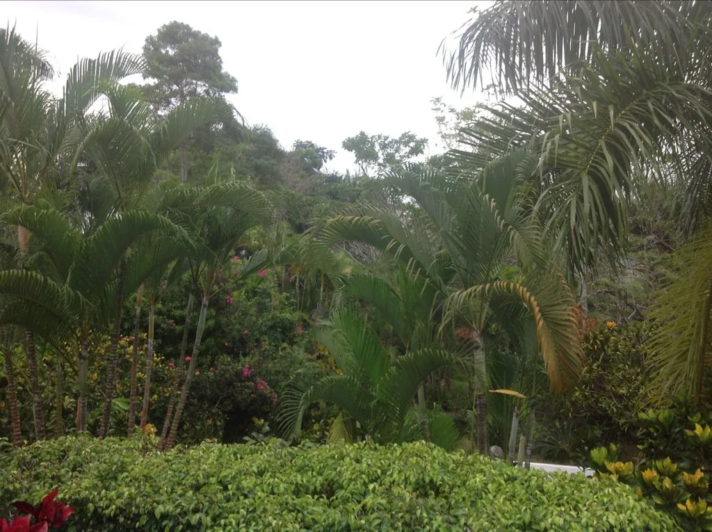 Casa campestre de 2 niveles con vista panorámica - foto 8