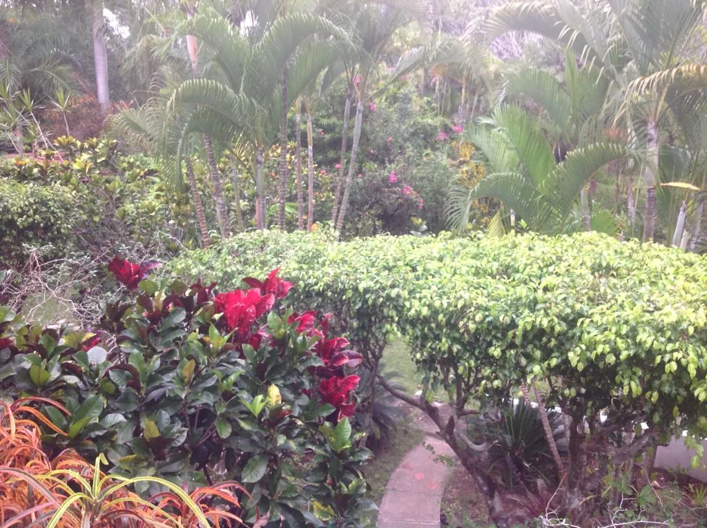 Casa campestre de 2 niveles con vista panorámica - foto 9